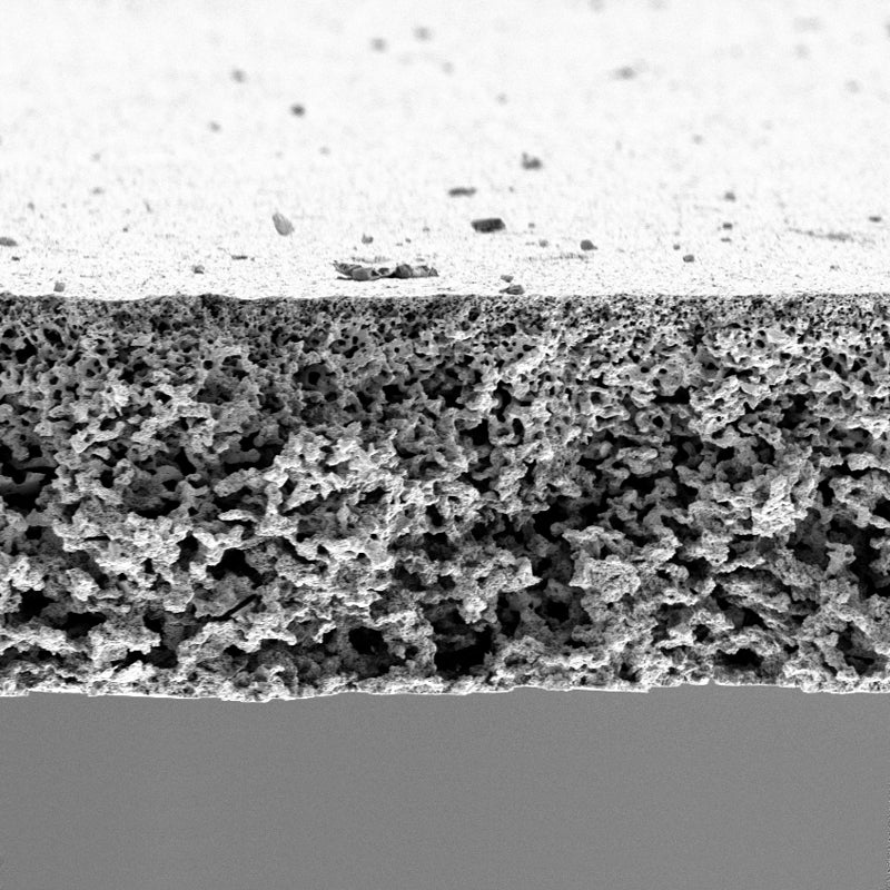 Membranquerschnitt unter dem Elektronenmikroskop